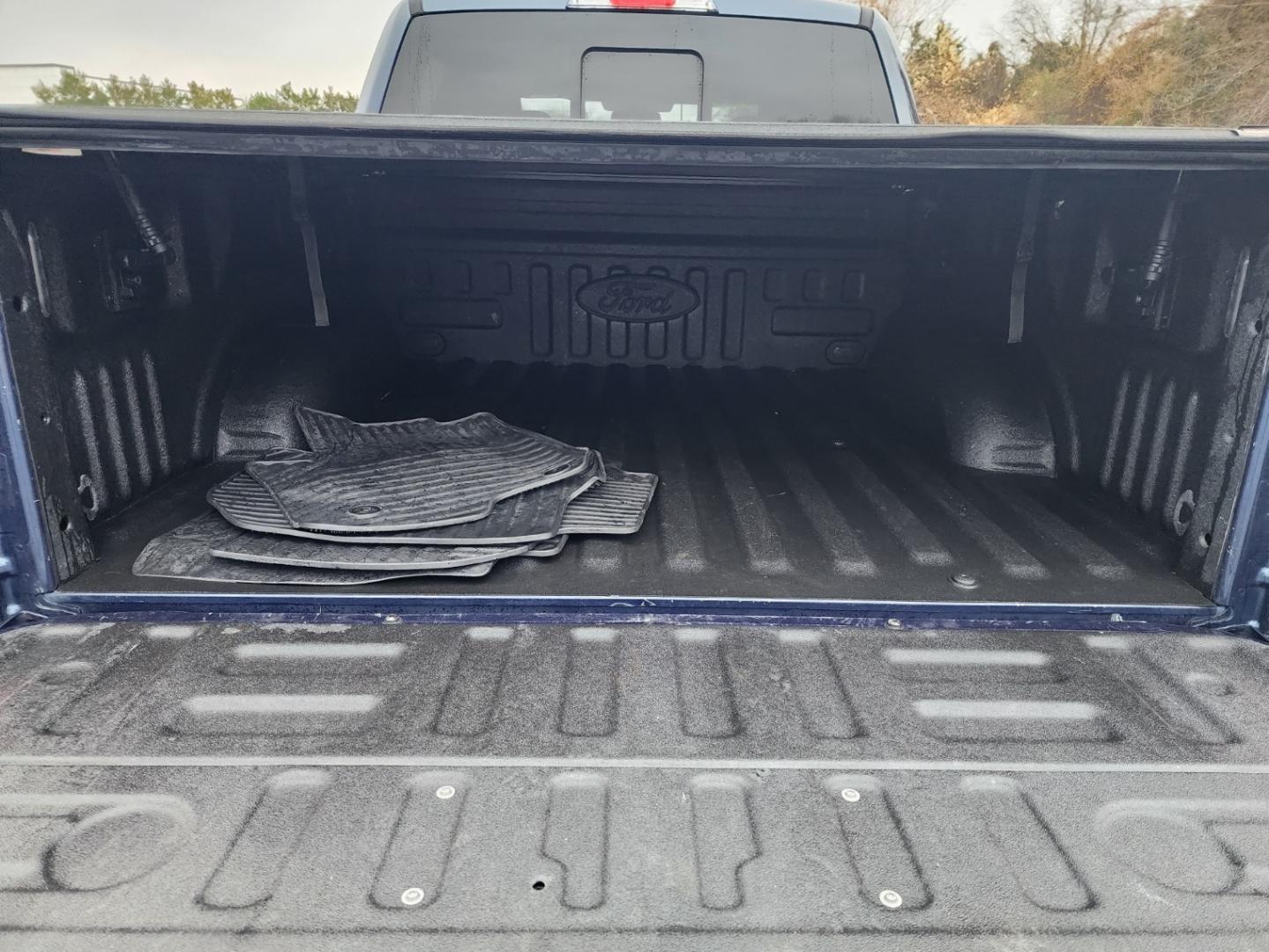 2015 Dk Blue /Black Ford F-150 Platinum SuperCrew 5.5-ft. Bed 4WD (1FTEW1EGXFF) with an 3.5 V-6 Ecoboost engine, Automatic transmission, located at 1221 Madison St., Shelbyville, TN, 37160, (931) 680-9439, 0.000000, 0.000000 - Photo#5